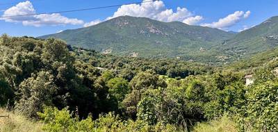 Terrain à Eccica-Suarella en Corse-du-Sud (2A) de 1772 m² à vendre au prix de 260000€ - 1