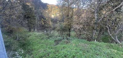 Terrain à Ville-di-Paraso en Haute-Corse (2B) de 2000 m² à vendre au prix de 158690€ - 3