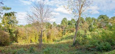 Terrain à Boulazac Isle Manoire en Dordogne (24) de 7177 m² à vendre au prix de 75000€ - 1