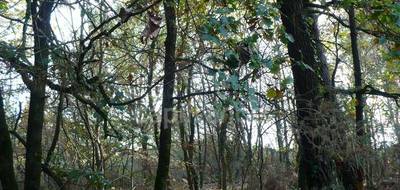 Terrain à Nivillac en Morbihan (56) de 14360 m² à vendre au prix de 49000€ - 4