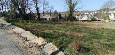 Terrain à Baden en Morbihan (56) de 265 m² à vendre au prix de 295000€ - 3