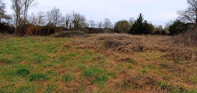 Terrain à Le Champ-Saint-Père en Vendée (85) de 830 m² à vendre au prix de 43010€ - 1