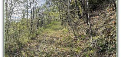 Terrain à Montgey en Tarn (81) de 6102 m² à vendre au prix de 78000€ - 4
