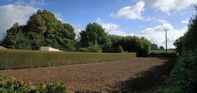 Terrain à Gandelain en Orne (61) de 656 m² à vendre au prix de 16000€ - 4
