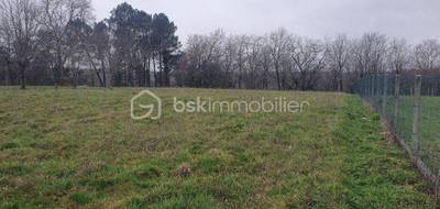 Terrain à Duhort-Bachen en Landes (40) de 2210 m² à vendre au prix de 65000€ - 3