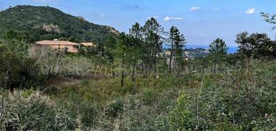 Terrain à Sari-Solenzara en Corse-du-Sud (2A) de 3716 m² à vendre au prix de 330000€ - 2