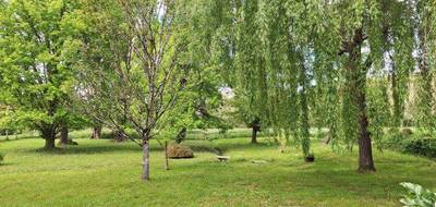 Maison à Noaillan en Gironde (33) de 158 m² à vendre au prix de 199000€ - 4