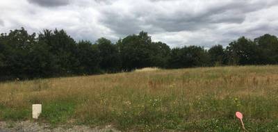 Terrain et maison à Béceleuf en Deux-Sèvres (79) de 811 m² à vendre au prix de 160171€ - 3