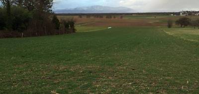 Terrain et maison à Galfingue en Haut-Rhin (68) de 478 m² à vendre au prix de 355900€ - 3
