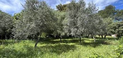 Terrain et maison à Draguignan en Var (83) de 1000 m² à vendre au prix de 339000€ - 2