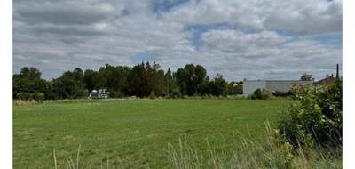 Terrain à La Ronde en Charente-Maritime (17) de 294 m² à vendre au prix de 42630€ - 1