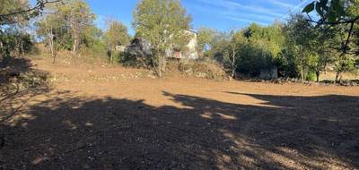 Terrain à La Capelle-Balaguier en Aveyron (12) de 1650 m² à vendre au prix de 28050€ - 3