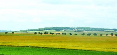 Terrain et maison à Bourgogne-Fresne en Marne (51) de 500 m² à vendre au prix de 200000€ - 3