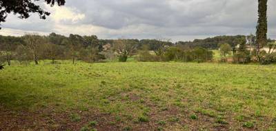 Terrain à Aix-en-Provence en Bouches-du-Rhône (13) de 1200 m² à vendre au prix de 610000€ - 4