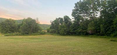 Terrain à Saint-Dolay en Morbihan (56) de 465 m² à vendre au prix de 62000€ - 1