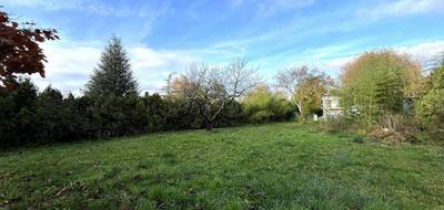 Terrain à Beaufort-en-Anjou en Maine-et-Loire (49) de 805 m² à vendre au prix de 36200€ - 1
