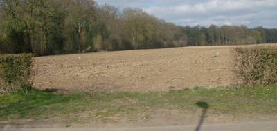Terrain et maison à Quevauvillers en Somme (80) de 820 m² à vendre au prix de 197000€ - 3