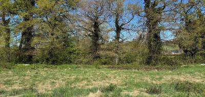 Terrain à Montrozier en Aveyron (12) de 649 m² à vendre au prix de 56500€ - 2