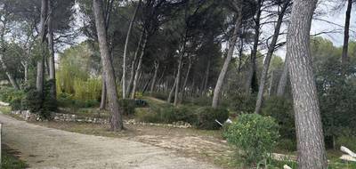 Terrain à Ventabren en Bouches-du-Rhône (13) de 1814 m² à vendre au prix de 460000€ - 4