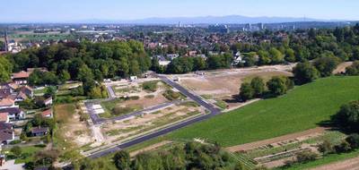 Terrain et maison à Morschwiller-le-Bas en Haut-Rhin (68) de 195 m² à vendre au prix de 299100€ - 3
