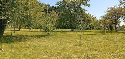 Terrain et maison à Bucy-le-Long en Aisne (02) de 1310 m² à vendre au prix de 213000€ - 3