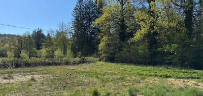 Terrain à Montrozier en Aveyron (12) de 798 m² à vendre au prix de 60000€ - 1