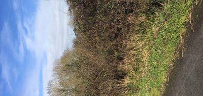 Terrain et maison à Saint-Valérien en Vendée (85) de 616 m² à vendre au prix de 154646€ - 3