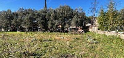Terrain à Grasse en Alpes-Maritimes (06) de 459 m² à vendre au prix de 235000€ - 1