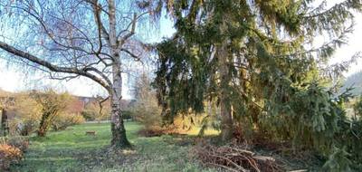 Terrain et maison à Cuise-la-Motte en Oise (60) de 514 m² à vendre au prix de 145000€ - 3
