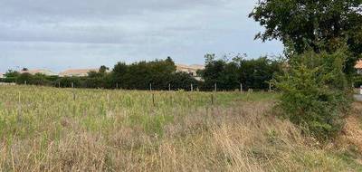 Terrain et maison à Villiers-en-Plaine en Deux-Sèvres (79) de 900 m² à vendre au prix de 173206€ - 3