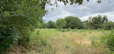 Terrain et maison à Prahecq en Deux-Sèvres (79) de 358 m² à vendre au prix de 170506€ - 3