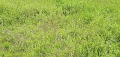 Terrain à Sarrigné en Maine-et-Loire (49) de 1496 m² à vendre au prix de 104500€ - 1