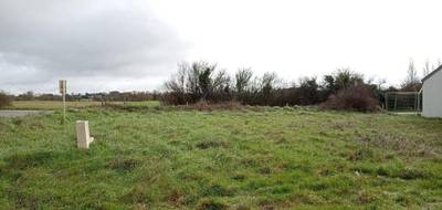 Terrain à Ambon en Morbihan (56) de 400 m² à vendre au prix de 156500€ - 1