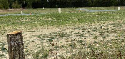 Terrain et maison à Granzay-Gript en Deux-Sèvres (79) de 597 m² à vendre au prix de 168026€ - 3