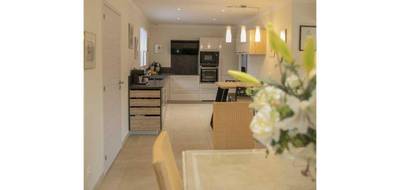 Terrain et maison à Maillane en Bouches-du-Rhône (13) de 455 m² à vendre au prix de 419500€ - 4