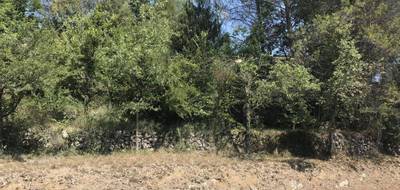 Terrain à Grasse en Alpes-Maritimes (06) de 700 m² à vendre au prix de 195000€ - 3