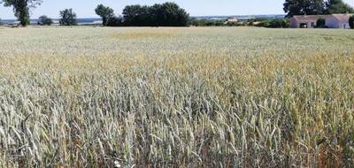 Terrain et maison à Chauray en Deux-Sèvres (79) de 438 m² à vendre au prix de 182306€ - 3