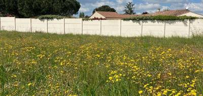 Terrain à Luçon en Vendée (85) de 382 m² à vendre au prix de 45248€ - 1