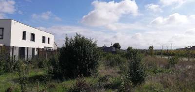 Terrain et maison à Sainte-Croix-en-Plaine en Haut-Rhin (68) de 266 m² à vendre au prix de 273293€ - 3
