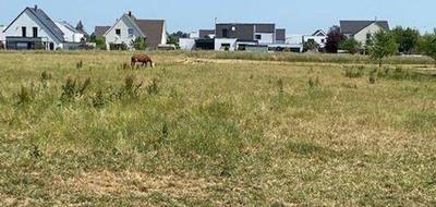 Terrain et maison à Bischwihr en Haut-Rhin (68) de 350 m² à vendre au prix de 361452€ - 3