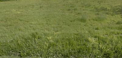 Terrain et maison à Prinquiau en Loire-Atlantique (44) de 500 m² à vendre au prix de 251161€ - 4