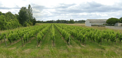 Terrain à Arveyres en Gironde (33) de 1200 m² à vendre au prix de 169000€ - 1