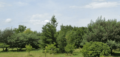 Terrain à Bourg en Gironde (33) de 510 m² à vendre au prix de 55000€ - 2