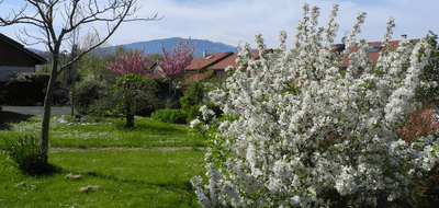 Terrain et maison à Valleiry en Haute-Savoie (74) de 600 m² à vendre au prix de 555000€ - 3