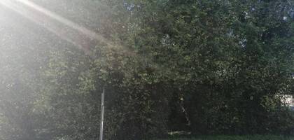 Terrain à Montier-en-l'Isle en Aube (10) de 1000 m² à vendre au prix de 12000€ - 1