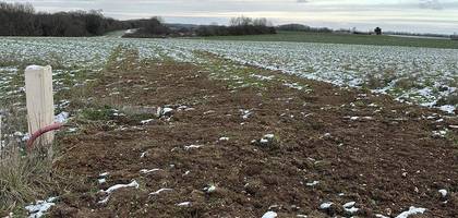 Terrain à Montot en Haute-Saône (70) de 1300 m² à vendre au prix de 15600€ - 3