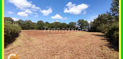 Terrain à Vailly-sur-Sauldre en Cher (18) de 0 m² à vendre au prix de 16500€ - 1