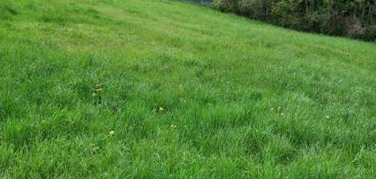 Terrain à Denèvre en Haute-Saône (70) de 1587 m² à vendre au prix de 20000€ - 1