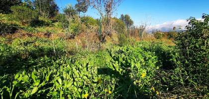 Terrain à Ajaccio en Corse-du-Sud (2A) de 1500 m² à vendre au prix de 300000€ - 3