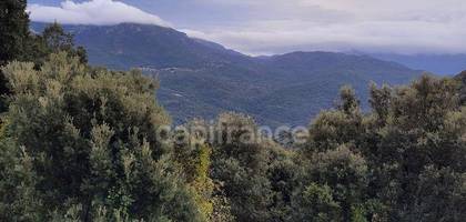 Terrain à Levie en Corse-du-Sud (2A) de 5784 m² à vendre au prix de 270000€ - 4